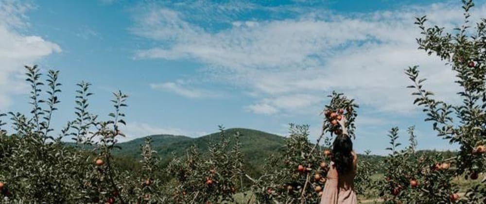 How to use CSS Combinators with examples