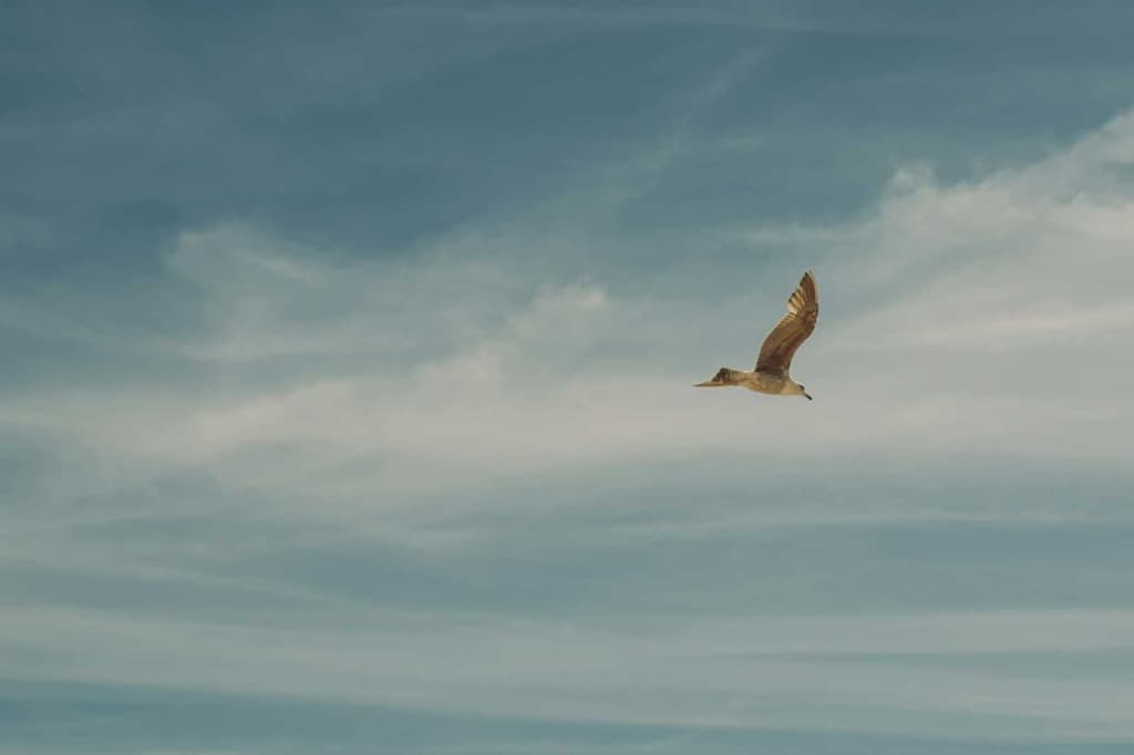 Preview image for What Really Matters blog post